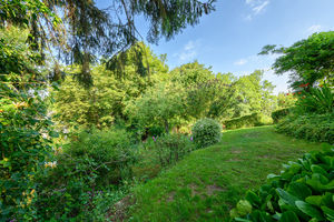 Garden- click for photo gallery